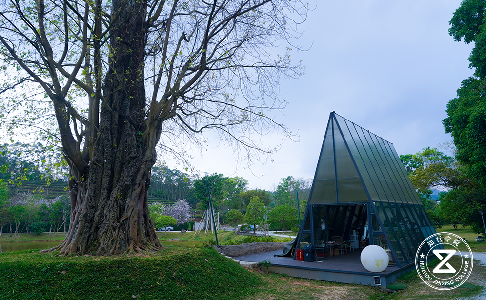 凯森千年古树园